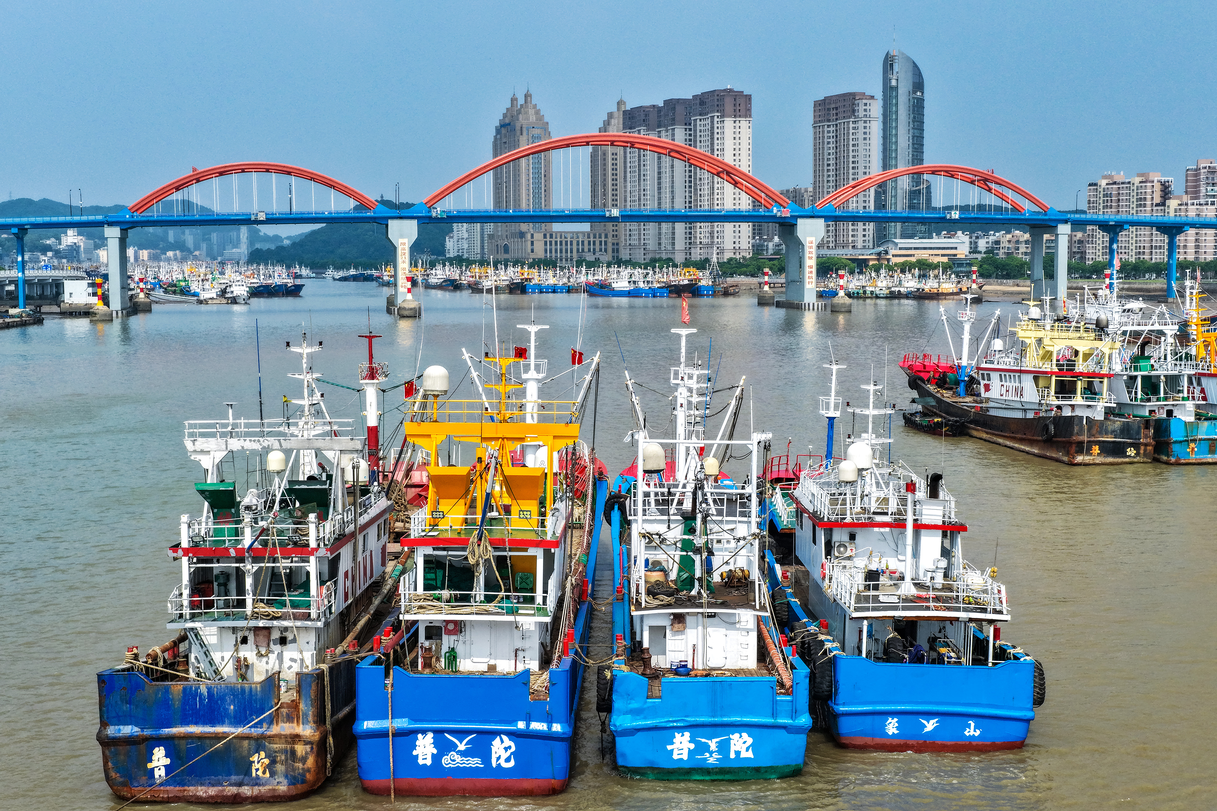 天天学习|一座桥与一片海 2026年5月28日,浙江舟山,沈家门渔港内数千艘渔船锚泊港内,连绵成片。